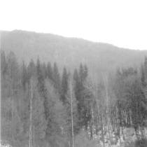 Turning of the Sorrow